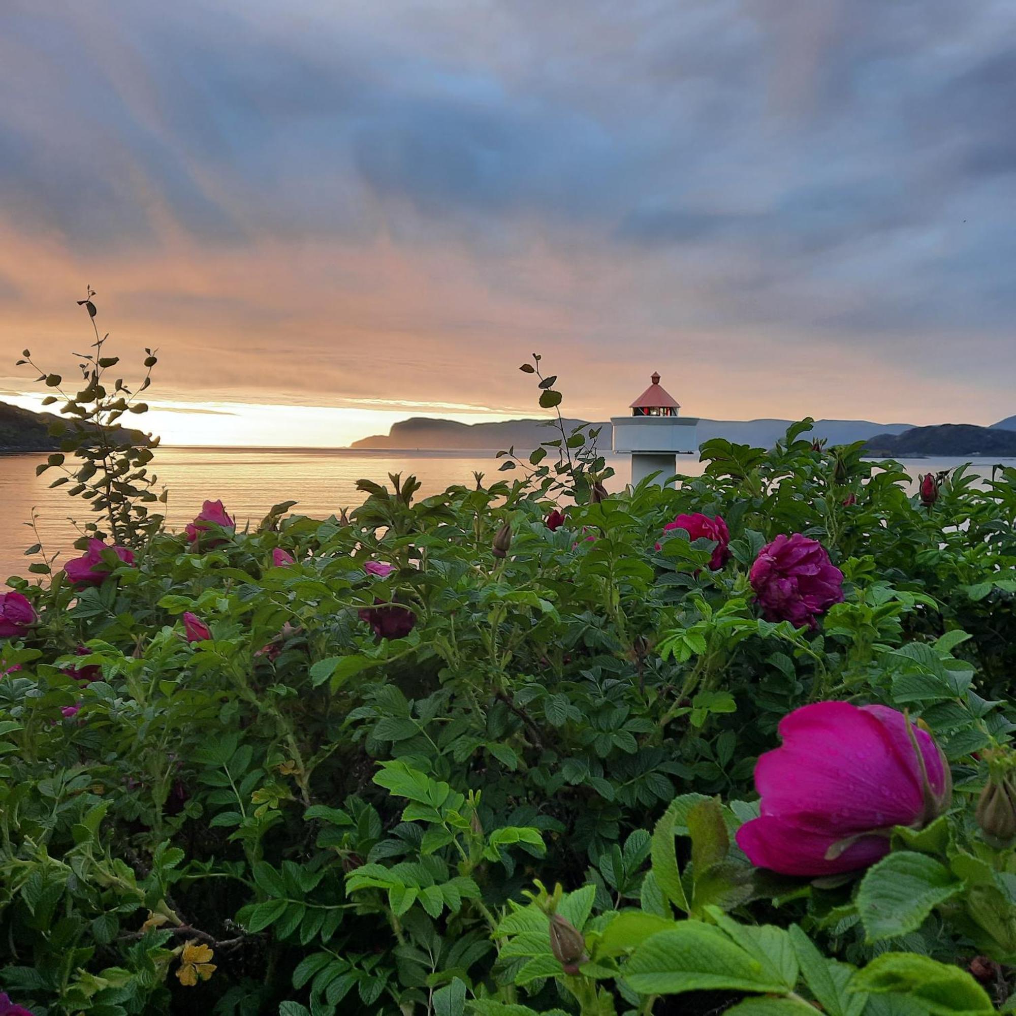 Ulvesund Fyr Bed & Breakfast Raudeberg Exterior photo